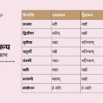 Nadi Shabd Roop in Sanskrit