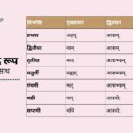 Asmad Shabd Roop in Sanskrit